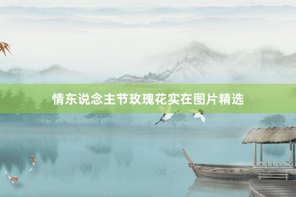 情东说念主节玫瑰花实在图片精选